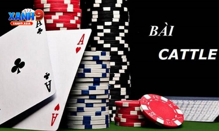 Giới thiệu chung về Catte Xanh9