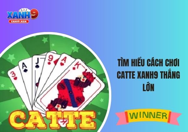 Catte Xanh9